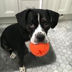 Profile Picture of Joan Gusmano (@joangusmano) on Instagram