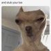 Profile Picture of Sherry staab (@sherrycherry19xx) on Pinterest
