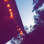 Profile Picture of Kiley Matthews (@xkileyx223) on Instagram