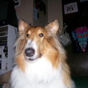 Profile Picture of Chance Czarney (@chance_gilbert) on Myspace