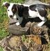 Profile Picture of Sherry Travis (@sherry.travis.12) on Facebook