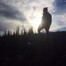 Profile Picture of Andrew Schleicher (@aschleicher2) on Facebook