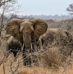 Profile Picture of Peter Boyd (@peter.boyd.25562) on Facebook