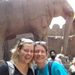 Profile Picture of Bobbi Staley (@staleybj) on Pinterest