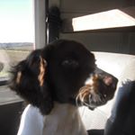 Profile Picture of Mark Pagett (@pagettmark) on Instagram