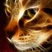 Profile Picture of Clay Letson (@clay.letson.56) on Facebook