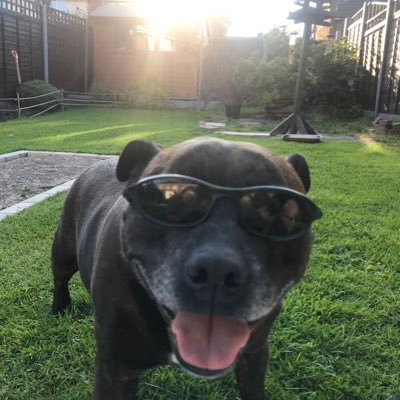 Profile Picture of Sue Shinn (@sueshinn64) on Twitter