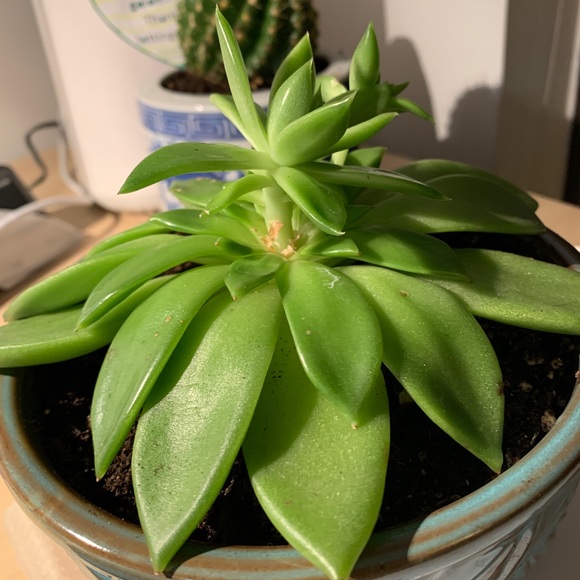 Profile Picture of Jordan Wong (@jordan_wong) on Poshmark