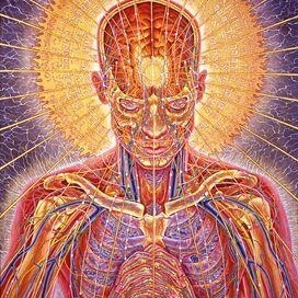 Profile Picture of Aaron Donnelly (@180026997) on Myspace