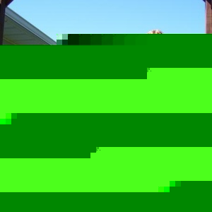 Profile Picture of Alex Vandermolen (@160898126) on Myspace