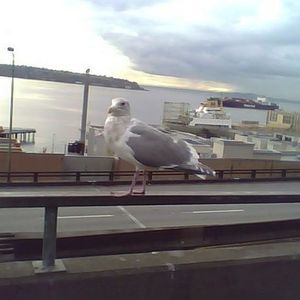 Profile Picture of Charles Mcmurray (@charlesmcmurray) on Myspace