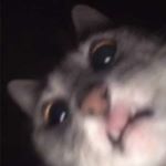 Profile Picture of Johnathan Kim (@ghetto_food_dood) on Instagram