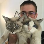 Profile Picture of Justin COLSON (@justus_clsn) on Instagram