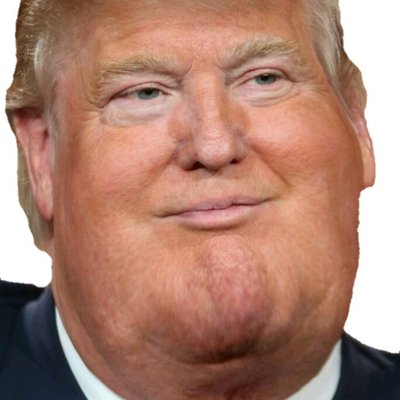 Profile Picture of Trump's Chins (@TrumpsChinFat) on Twitter