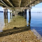 Profile Picture of Andrew Baldini (@Andrew-Baldini) on Facebook