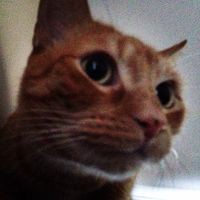 Profile Picture of Shawn Cote (@shawn-cote-12) on Quora