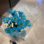 Profile Picture of Yg L Zuud Shig (@erka.mirka.2025) on Facebook