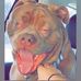 Profile Picture of Eric Spring (@eric.spring.169067) on Facebook