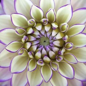 Profile Picture of Chris Alley (@chrisalleyslp) on Pinterest