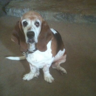 Profile Picture of Randy Emerson (@rlemers) on Twitter