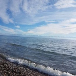 Sandhya Radhakrishnan - Twitter Profile Picture of Sandhya Radhakrishnan (@sandhyaradhakr4) on Twitter