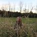 Profile Picture of Morgan Blevins (@moblev6) on Pinterest