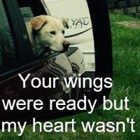 Jeff Poirier - Quora Profile Picture of Jeff Poirier (@jeff-poirier-4) on Quora