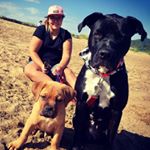 Samantha Lessard - Instagram Profile Picture of Samantha Lessard (@gronnie0440) on Instagram