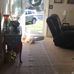 Profile Picture of Martha Hembree (@martha.hembree.5011) on Facebook