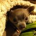 Profile Picture of Chico Thompson (Chico) (@chico.thompson.140) on Facebook