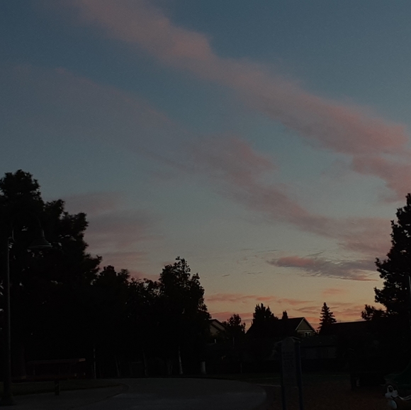 Calli Widger - Poshmark Profile Picture of Calli Widger (@calli_widger) on Poshmark