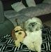 Profile Picture of Michele Bertrand (@michele.bertrand.1675) on Facebook