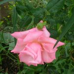 Profile Picture of Keith LeRoy (@keith_leroy) on Instagram