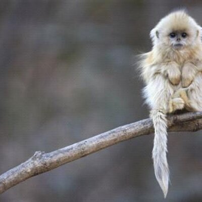 Profile Picture of Kim Yeates (@jellytots4) on Twitter