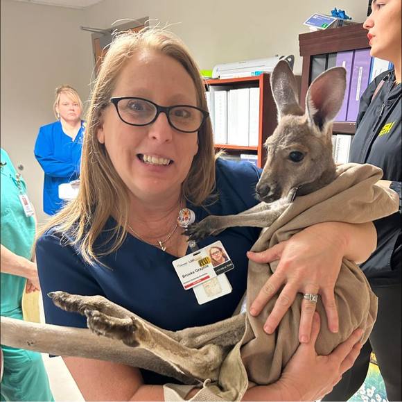 Profile Picture of Brooke Graphia youngblood (@graphiacircus) on Poshmark