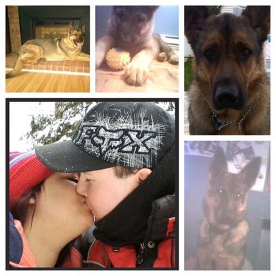 Steve Mailhot - Twitter Profile Picture of Steve Mailhot (@MailhotSteve) on Twitter