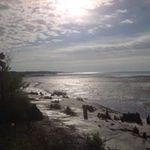 Profile Picture of Carl Holbrook (@holbrookcarl) on Instagram