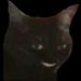 Profile Picture of Umcaraqualquer (@alisonkempfer) on Pinterest