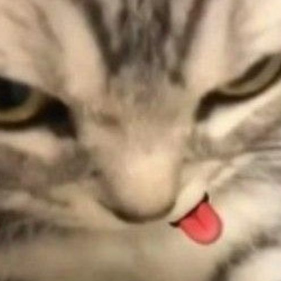 Profile Picture of alice (@aliceagz) on Tiktok