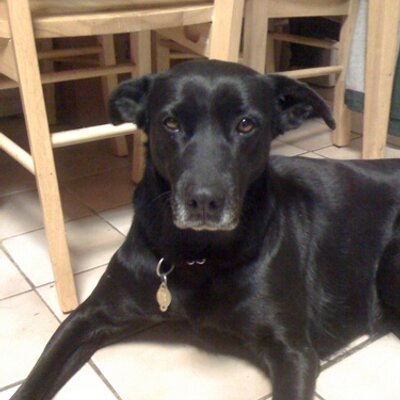 Profile Picture of Freeman Chandler (@FreemanChandler) on Twitter