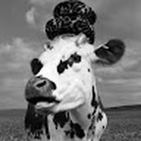 Profile Picture of Adam Vogt (@adam-vogt-20) on Quora