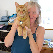 Profile Picture of Lisa Larson: Pawstalk Animal Communication & Reiki (@pawstalk) on Youtube