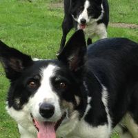 Profile Picture of Greg Wasko (@greg-wasko-2) on Quora