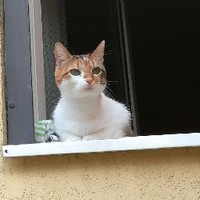 Profile Picture of Maduz Madalin (@maduz-madalin) on Quora