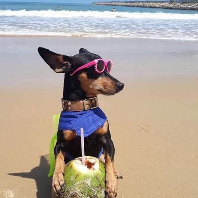 Profile Picture of ⁵ (@_kimschade) on Twitter