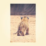 Profile Picture of Shannon Duncan (@aitarget) on Instagram