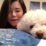 Profile Picture of Sijia Li (@scarlettxxi) on Instagram