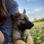 Profile Picture of Kalin Linton (@kalin.linton) on Facebook