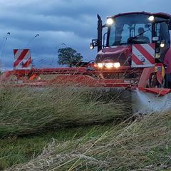 Profile Picture of Michael Meier (@mmichi99) on Tiktok