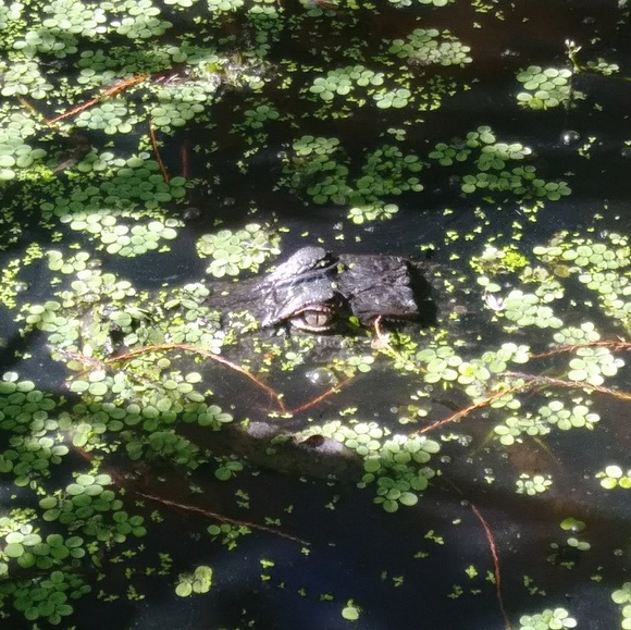 Profile Picture of Chris Gartman (@chggmc) on Poshmark